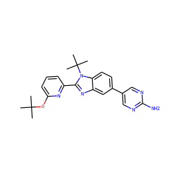 CC(C)(C)Oc1cccc(-c2nc3cc(-c4cnc(N)nc4)ccc3n2C(C)(C)C)n1 ZINC000169259098