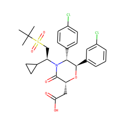 CC(C)(C)S(=O)(=O)C[C@H](C1CC1)N1C(=O)[C@@H](CC(=O)O)O[C@H](c2cccc(Cl)c2)[C@H]1c1ccc(Cl)cc1 ZINC000098208280