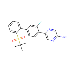 CC(C)(C)S(=O)(=O)c1ccccc1-c1ccc(-c2cnc(N)cn2)c(F)c1 ZINC000224741489