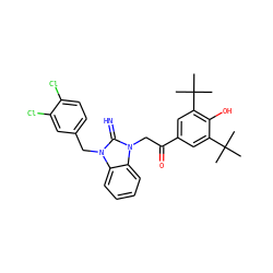 CC(C)(C)c1cc(C(=O)Cn2c(=N)n(Cc3ccc(Cl)c(Cl)c3)c3ccccc32)cc(C(C)(C)C)c1O ZINC000026720402