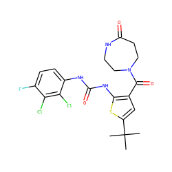 CC(C)(C)c1cc(C(=O)N2CCNC(=O)CC2)c(NC(=O)Nc2ccc(F)c(Cl)c2Cl)s1 ZINC000073199494