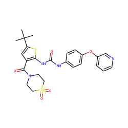 CC(C)(C)c1cc(C(=O)N2CCS(=O)(=O)CC2)c(NC(=O)Nc2ccc(Oc3cccnc3)cc2)s1 ZINC000066252704