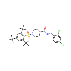 CC(C)(C)c1cc(C(C)(C)C)c(S(=O)(=O)N2CCC(C(=O)NCc3ccc(Cl)cc3Cl)CC2)c(C(C)(C)C)c1 ZINC000049867558