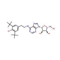CC(C)(C)c1cc(CCNc2ncnc3c2ncn3[C@@H]2O[C@H](CO)[C@@H](O)[C@H]2O)cc(C(C)(C)C)c1O ZINC000049088355