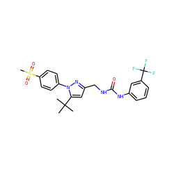 CC(C)(C)c1cc(CNC(=O)Nc2cccc(C(F)(F)F)c2)nn1-c1ccc(S(C)(=O)=O)cc1 ZINC000071318796