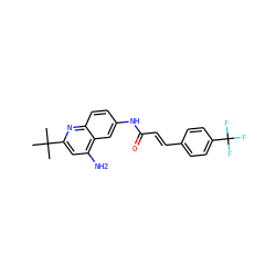 CC(C)(C)c1cc(N)c2cc(NC(=O)/C=C/c3ccc(C(F)(F)F)cc3)ccc2n1 ZINC000034947171