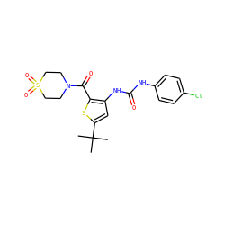 CC(C)(C)c1cc(NC(=O)Nc2ccc(Cl)cc2)c(C(=O)N2CCS(=O)(=O)CC2)s1 ZINC000082151701