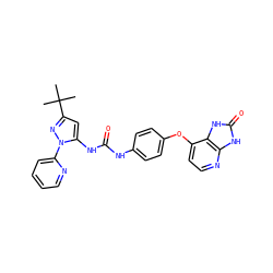 CC(C)(C)c1cc(NC(=O)Nc2ccc(Oc3ccnc4[nH]c(=O)[nH]c34)cc2)n(-c2ccccn2)n1 ZINC000049066697