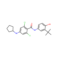 CC(C)(C)c1cc(NC(=O)c2c(Cl)cc(NC3CCCC3)cc2Cl)ccc1O ZINC000473113578