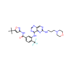 CC(C)(C)c1cc(NC(=O)c2ccc(C(F)(F)F)c(Nc3ncnc4cnc(NCCCN5CCOCC5)nc34)c2)no1 ZINC000148082336