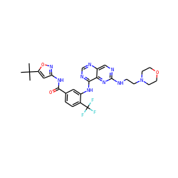 CC(C)(C)c1cc(NC(=O)c2ccc(C(F)(F)F)c(Nc3ncnc4cnc(NCCN5CCOCC5)nc34)c2)no1 ZINC000148083360