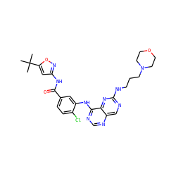 CC(C)(C)c1cc(NC(=O)c2ccc(Cl)c(Nc3ncnc4cnc(NCCCN5CCOCC5)nc34)c2)no1 ZINC000148087262