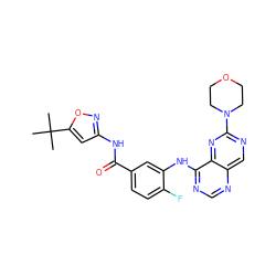 CC(C)(C)c1cc(NC(=O)c2ccc(F)c(Nc3ncnc4cnc(N5CCOCC5)nc34)c2)no1 ZINC000148091610