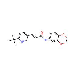 CC(C)(C)c1ccc(/C=C/C(=O)Nc2ccc3c(c2)OCCO3)cn1 ZINC000013606940