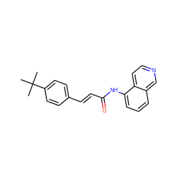 CC(C)(C)c1ccc(/C=C/C(=O)Nc2cccc3cnccc23)cc1 ZINC000026829284