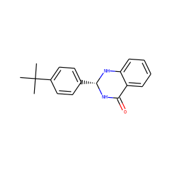 CC(C)(C)c1ccc([C@H]2NC(=O)c3ccccc3N2)cc1 ZINC000006831450