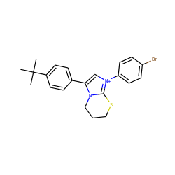 CC(C)(C)c1ccc(-c2c[n+](-c3ccc(Br)cc3)c3n2CCCS3)cc1 ZINC000012574947