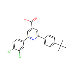 CC(C)(C)c1ccc(-c2cc(C(=O)O)cc(-c3ccc(Cl)c(Cl)c3)n2)cc1 ZINC000029467105