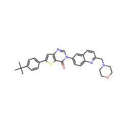 CC(C)(C)c1ccc(-c2cc3ncn(-c4ccc5nc(CN6CCOCC6)ccc5c4)c(=O)c3s2)cc1 ZINC000038149740