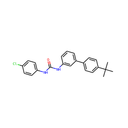 CC(C)(C)c1ccc(-c2cccc(NC(=O)Nc3ccc(Cl)cc3)c2)cc1 ZINC001772643031