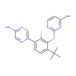 CC(C)(C)c1ccc(-c2cnc(N)cn2)c(F)c1Oc1nccc(N)n1 ZINC000224572053