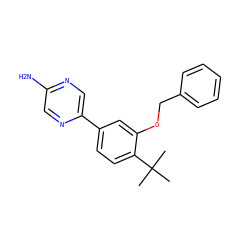CC(C)(C)c1ccc(-c2cnc(N)cn2)cc1OCc1ccccc1 ZINC000224582161