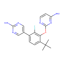 CC(C)(C)c1ccc(-c2cnc(N)nc2)c(F)c1Oc1nccc(N)n1 ZINC000224555466