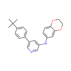 CC(C)(C)c1ccc(-c2cncc(Nc3ccc4c(c3)OCCO4)c2)cc1 ZINC000014974016