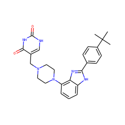 CC(C)(C)c1ccc(-c2nc3c(N4CCN(Cc5c[nH]c(=O)[nH]c5=O)CC4)cccc3[nH]2)cc1 ZINC000040865963