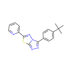 CC(C)(C)c1ccc(-c2nnc3sc(-c4ccccn4)nn23)cc1 ZINC000000383130