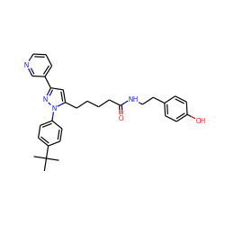 CC(C)(C)c1ccc(-n2nc(-c3cccnc3)cc2CCCCC(=O)NCCc2ccc(O)cc2)cc1 ZINC000028900496