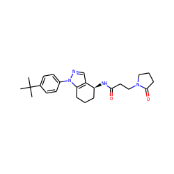 CC(C)(C)c1ccc(-n2ncc3c2CCC[C@@H]3NC(=O)CCN2CCCC2=O)cc1 ZINC000012090495