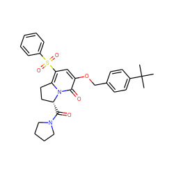 CC(C)(C)c1ccc(COc2cc(S(=O)(=O)c3ccccc3)c3n(c2=O)[C@H](C(=O)N2CCCC2)CC3)cc1 ZINC000042876194