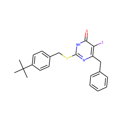 CC(C)(C)c1ccc(CSc2nc(Cc3ccccc3)c(I)c(=O)[nH]2)cc1 ZINC000049088884