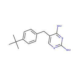 CC(C)(C)c1ccc(Cc2cnc(N)nc2N)cc1 ZINC000019729612