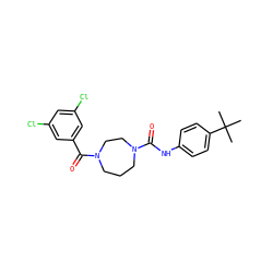 CC(C)(C)c1ccc(NC(=O)N2CCCN(C(=O)c3cc(Cl)cc(Cl)c3)CC2)cc1 ZINC000071317831