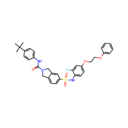 CC(C)(C)c1ccc(NC(=O)N2Cc3ccc(S(=O)(=O)Nc4ccc(OCCOc5ccccc5)cc4F)cc3C2)cc1 ZINC000220162305