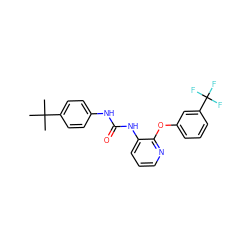 CC(C)(C)c1ccc(NC(=O)Nc2cccnc2Oc2cccc(C(F)(F)F)c2)cc1 ZINC000095590635
