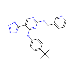 CC(C)(C)c1ccc(Nc2nc(NCc3cccnc3)ncc2-c2nnn[nH]2)cc1 ZINC000040918434