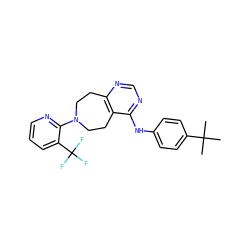 CC(C)(C)c1ccc(Nc2ncnc3c2CCN(c2ncccc2C(F)(F)F)CC3)cc1 ZINC000064548882
