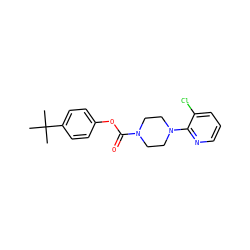CC(C)(C)c1ccc(OC(=O)N2CCN(c3ncccc3Cl)CC2)cc1 ZINC000049032759