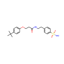 CC(C)(C)c1ccc(OCCC(=O)NCCc2ccc(S(N)(=O)=O)cc2)cc1 ZINC000015590079