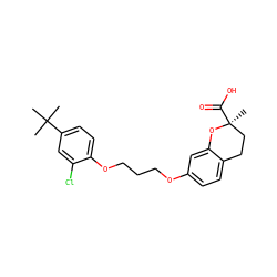CC(C)(C)c1ccc(OCCCOc2ccc3c(c2)O[C@@](C)(C(=O)O)CC3)c(Cl)c1 ZINC000028111541