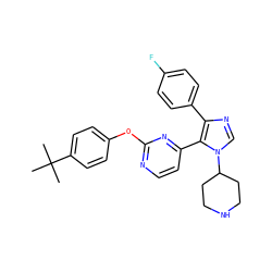 CC(C)(C)c1ccc(Oc2nccc(-c3c(-c4ccc(F)cc4)ncn3C3CCNCC3)n2)cc1 ZINC000036127092
