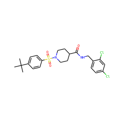 CC(C)(C)c1ccc(S(=O)(=O)N2CCC(C(=O)NCc3ccc(Cl)cc3Cl)CC2)cc1 ZINC000040406374