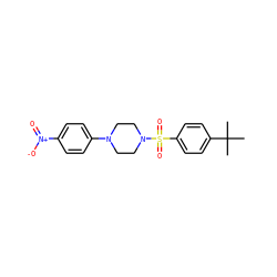CC(C)(C)c1ccc(S(=O)(=O)N2CCN(c3ccc([N+](=O)[O-])cc3)CC2)cc1 ZINC000005092562