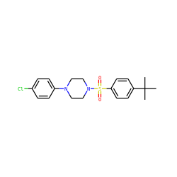 CC(C)(C)c1ccc(S(=O)(=O)N2CCN(c3ccc(Cl)cc3)CC2)cc1 ZINC000005383892