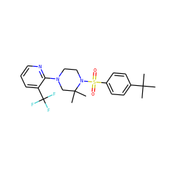 CC(C)(C)c1ccc(S(=O)(=O)N2CCN(c3ncccc3C(F)(F)F)CC2(C)C)cc1 ZINC000029045632