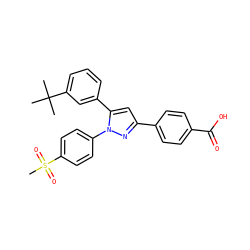 CC(C)(C)c1cccc(-c2cc(-c3ccc(C(=O)O)cc3)nn2-c2ccc(S(C)(=O)=O)cc2)c1 ZINC000584904714