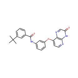 CC(C)(C)c1cccc(C(=O)Nc2cccc(Oc3ccnc4[nH]c(=O)cnc34)c2)c1 ZINC000058541552